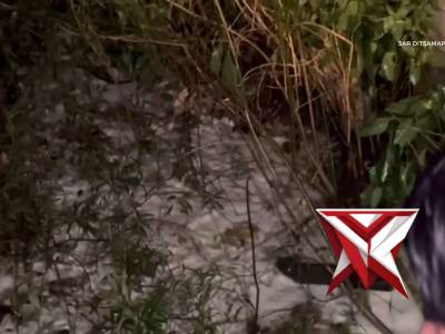 EVAKUASI SARANG TAWON - PoliceTube