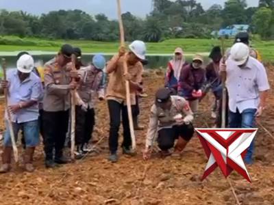 Penanaman jagung kuartal 1 2026 polres muratara