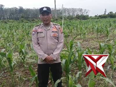 Anggota Polsek Belitang II laksanakan cek lahan ketahana pangan - PoliceTube