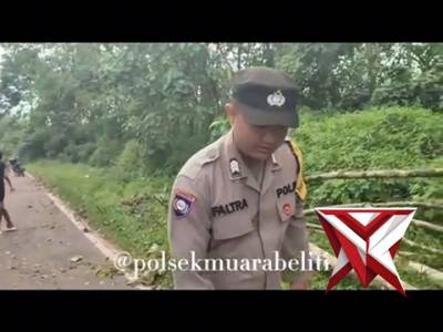 ?Gerak Cepat Polsek Muara Beliti Polres Musi Rawas Evakuasi Pohon Tumbang di Jalinsum 

?