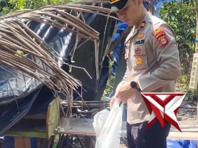 Pembongkaran terhadap pondok narkoba yg berada di perkebunan warga Desa Terusan Menang Kec. SP Padan - PoliceTube