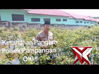 Polsek Pampangan