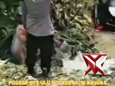 Polsek BTS Ulu Polres Musi Rawas menunjukkan respons cepat (quick response) dengan menindaklanjuti l - PoliceTube