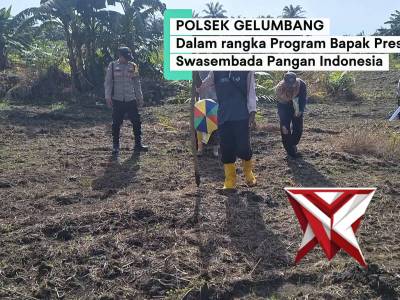 Kegiatan ketahanan pangan Polsek Gelumbang, penanaman jagung di Desa Kayu Ara Batu
