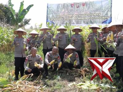 Detasemen Gegana Satbrimob Polda Kalimantan Barat melaksanakan kegiatan panen jagung