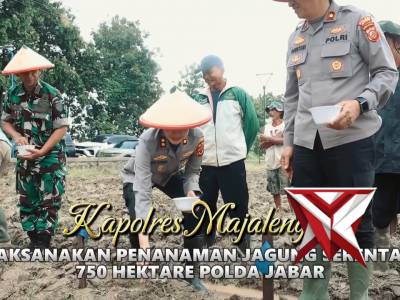 Polres Majalengka melaksanakan kegiatan penanaman jagung serentak di wilayah Desa Brujul Kulon