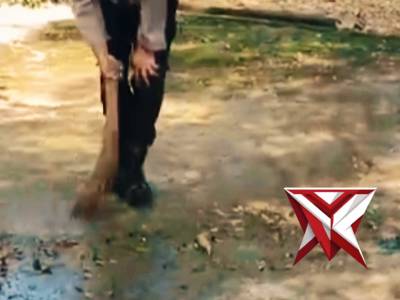 Belida Polsek Megangsakti 
B