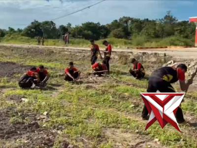 KEGIATAN PENANAMAN JAGUNG DI KOMPI 3 D SEKAYU