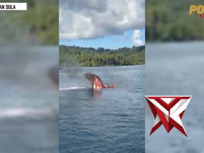 POLAIRUD POLDA MALUT BANTU EVAKUASI KORBAN SPEEDBOAT KEBAKARAN - PoliceTube