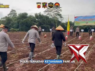 Penanaman Jagung Serentak 750 Hektare, Komitmen Polres Subang Dukung Swasembada Pangan - PoliceTube