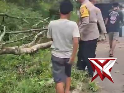 ?Gerak Cepat Polsek Muara Beliti Polres Musi Rawas Evakuasi Pohon Tumbang di Jalinsum 

?Demi keaman