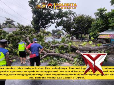 *Hujan dan Angin Kencang, Polsek Selebar Sigap Tangani Dua Kejadian Pohon Tumbang* - PoliceTube
