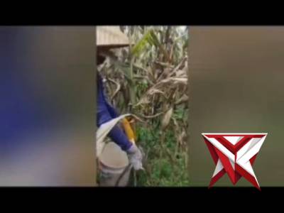 Polsek Purwodadi Polrea Musi Rawas