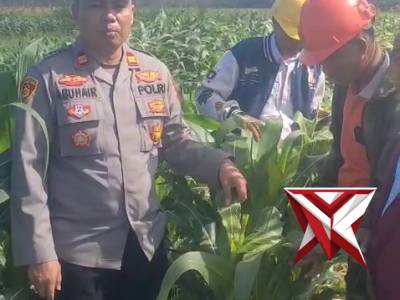 Pangan Stabil, Hidup Sejahtera - PoliceTube