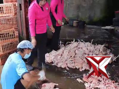 mura mantapolresp - PoliceTube