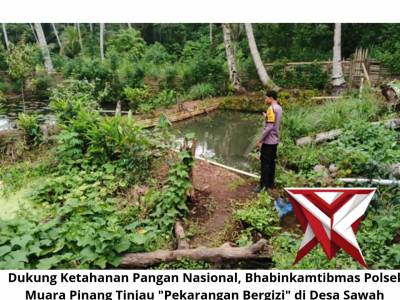 Dukung Ketahanan Pangan Nasional, Bhabinkamtibmas Polsek Muara Pinang Tinjau "Pekarangan Bergizi"