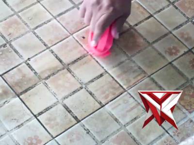 polsek mesuji makmur