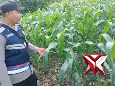 Kegiatan bhabinkamtibmas