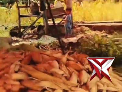 Satintelkam polres empat lawang - PoliceTube