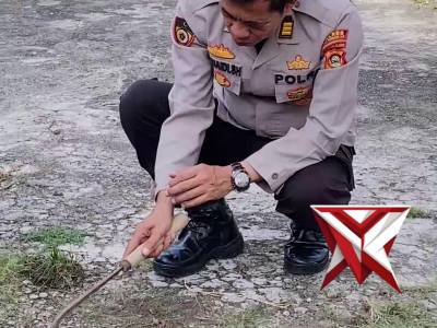 Polsek Mesuji Makmur