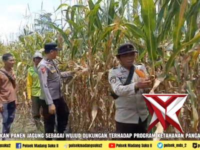 Giat ketahanan pangan panen jagung di desa Karya Makmur