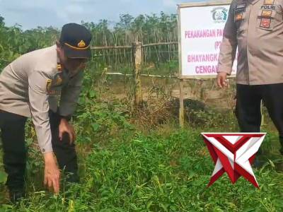 Dalam hal ketahanan pangan Polsek cengal memanfaatkan pekarangan kosong melalui Giat p2pl Bayangkari