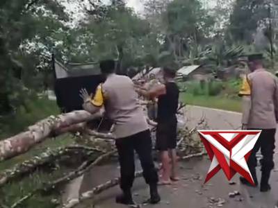 ?Gerak Cepat Polsek Muara Beliti Polres Musi Rawas Evakuasi Pohon Tumbang di Jalinsum - PoliceTube