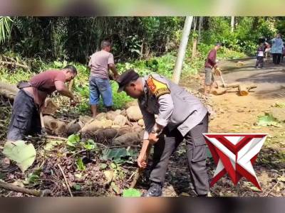 Polsek Mesuji Makmur