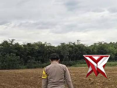 Anggota bhabin memantau perkembangan lahan jagung milik polsek bp peliung untuk d tanam kembali - PoliceTube