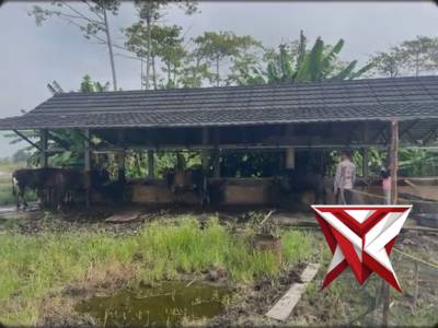 Anggota Polsek Jejawi patroli cek ketahanan pangan ternak kambing milik warga di Ds.Talang Cempedak