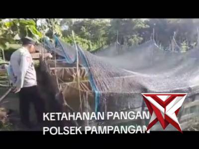 Ketahanan pangan - PoliceTube