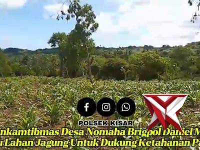 Bhabinkamtibmas polsek kisar melaksanakan peninjauan lahan ketahanan pangan warga