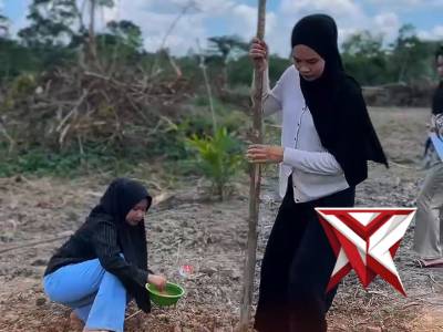 PENANAMAN JAGUNG KW2 ? - PoliceTube