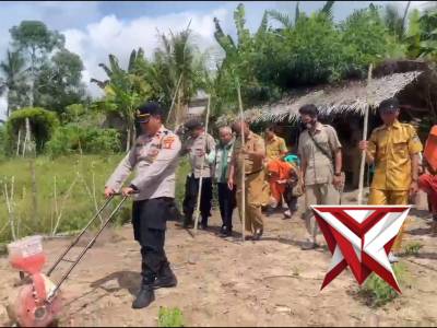 GIAT PENANAMAN JAGUNG DALAM RANGKA KETAHAN PANGAN NASIONAL DI DESA SINAR RAMBANG - PoliceTube