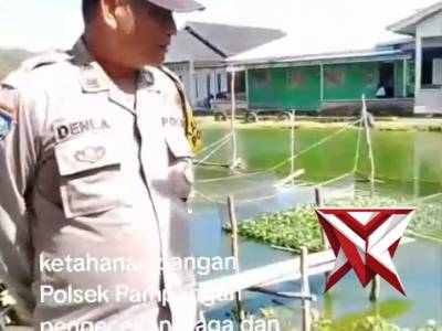 Ketahanan pangan mandiri