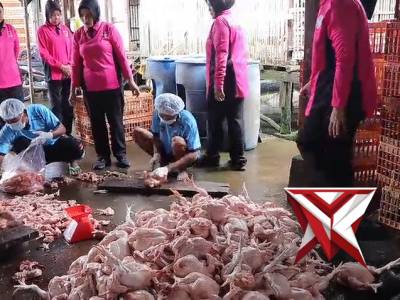 POLRES MURA MANTAP NYAGO MUSI RAWAS