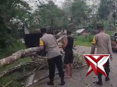 Pembersihan badan jalan - PoliceTube