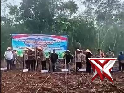 GIAT PENANAMAN JAGUNG KWARTAL II TAHUN 2026 POLSEK LAIS