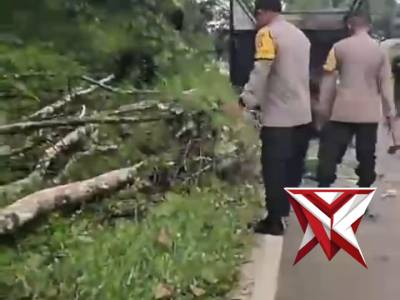 ?Gerak Cepat Polsek Muara Beliti Polres Musi Rawas Evakuasi Pohon Tumbang di Jalinsum