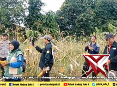 Giat ketahanan pangan panen jagung di desa binaan - PoliceTube