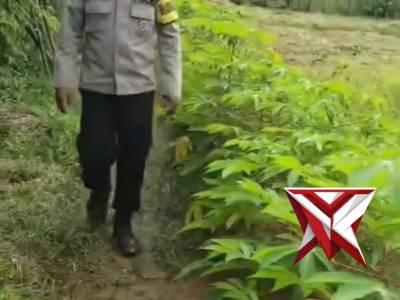 Giat Bhabinkamtibmas Polsek Lais Polres Muba, 08