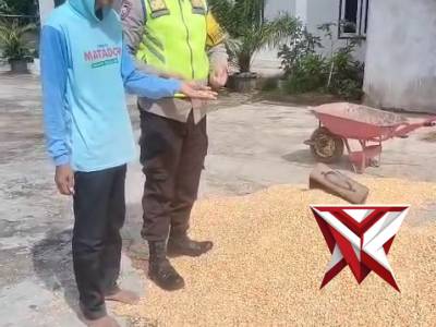 Bhabinkamtibmas polsek tugumulyo laksanakan giat sambang ketahanan pangan
