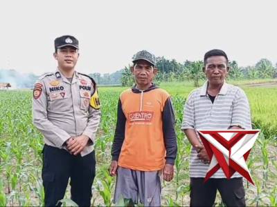 Giat Ketahan Pangan Pengecekan lahan jagung di wilkum polsek cempaka