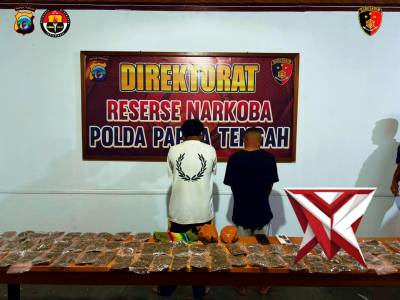 DIREKTORAT RESERSE NARKOBA POLDA PAPUA TENGAH MENGAMANKAN 2 PELAKU PENGEDAR GANJA "cannabis sativa"