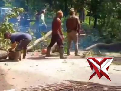 Pelayanan pengamanan kegiatan pemotongan pohon di jalur utama Parang&ndash;Sampung oleh Polsek Parang demi - PoliceTube