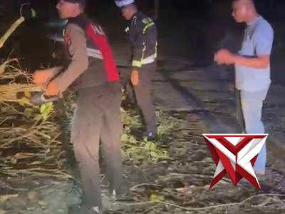 Personil Polres Musi Rawas evakuasi pohon tumbang di Kecamatan Muara kelingi