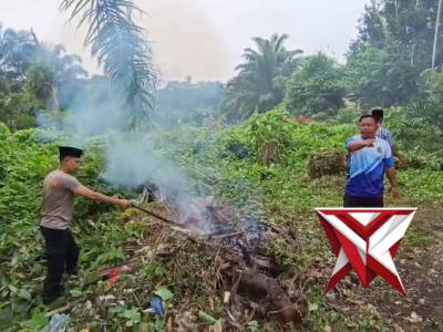 Kurvei Polsek Sanga Desa ..??