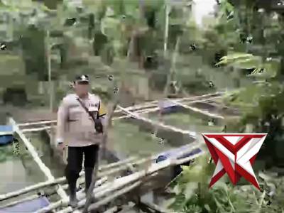 Sambang cek ketahanan pangan tambak ikan milik warga Desa Pematang Kijang OKI