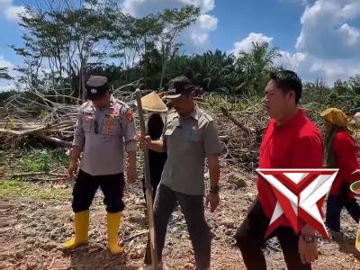 Penanam jagung kwartal II dalam program ketahanan pangan
