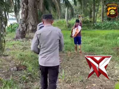POLSEK PEMULUTAN desa ULAK KEMBAHANG I. Penanaman jagung ketahanan pangan kuartal II